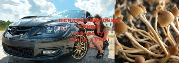 твердый Магадан