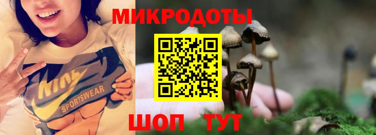Псилоцибиновые грибы Cubensis  Вход с VPN  Ульяновск 